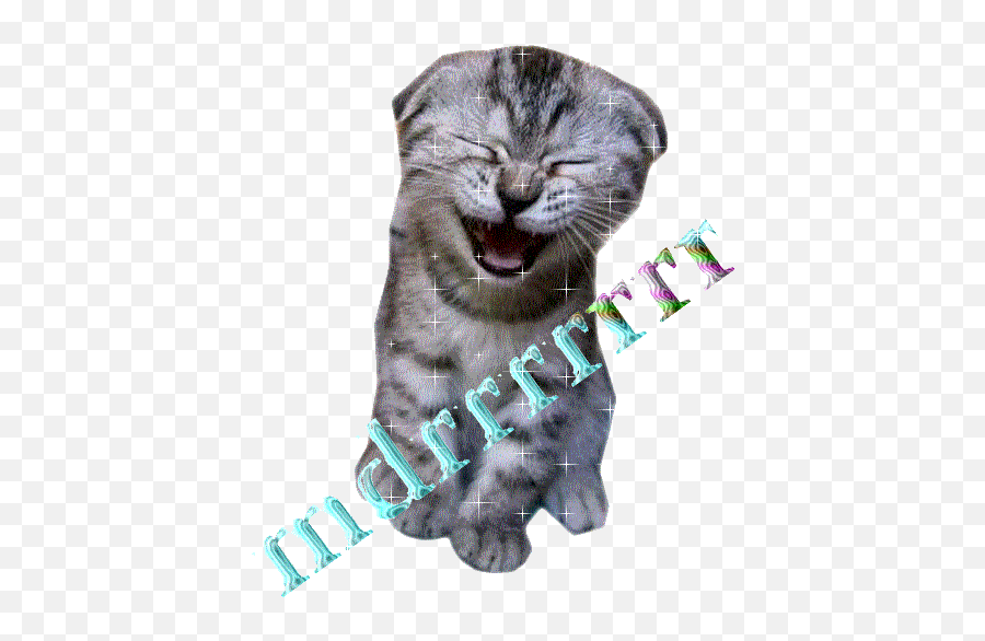 Ketawa Stickers For Android Ios - Cat And Dog Laughing Emoji,Emoticon Risa Malvada