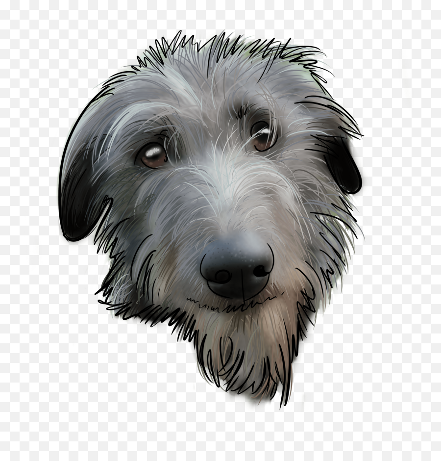 Silly Right Why - Vulnerable Native Breeds Emoji,Why My Scottish Terrier Doesn't Show Any Emotions