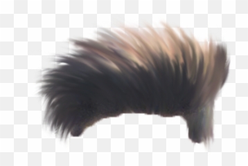 200 Hair Png Download Hair Png All Latest 2020 New - Best Hair Png Hd Emoji,Natural Hair Emoji