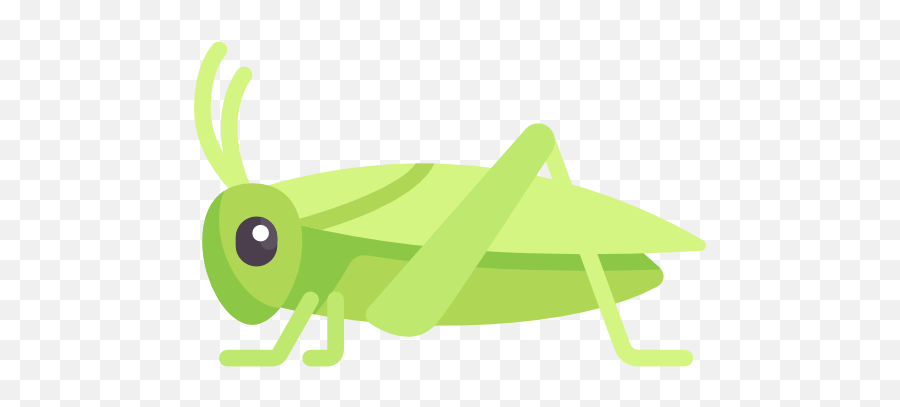 Onomatopoeia And Animal Sounds Flashcards - Insect Cricket Icon Emoji,Cricket Sound Emoji