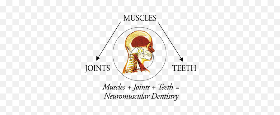 Headaches Tmd Tmj Zahra Cook Dmd Magd Lvif Ficoi Emoji,Tooth Charts Emotions