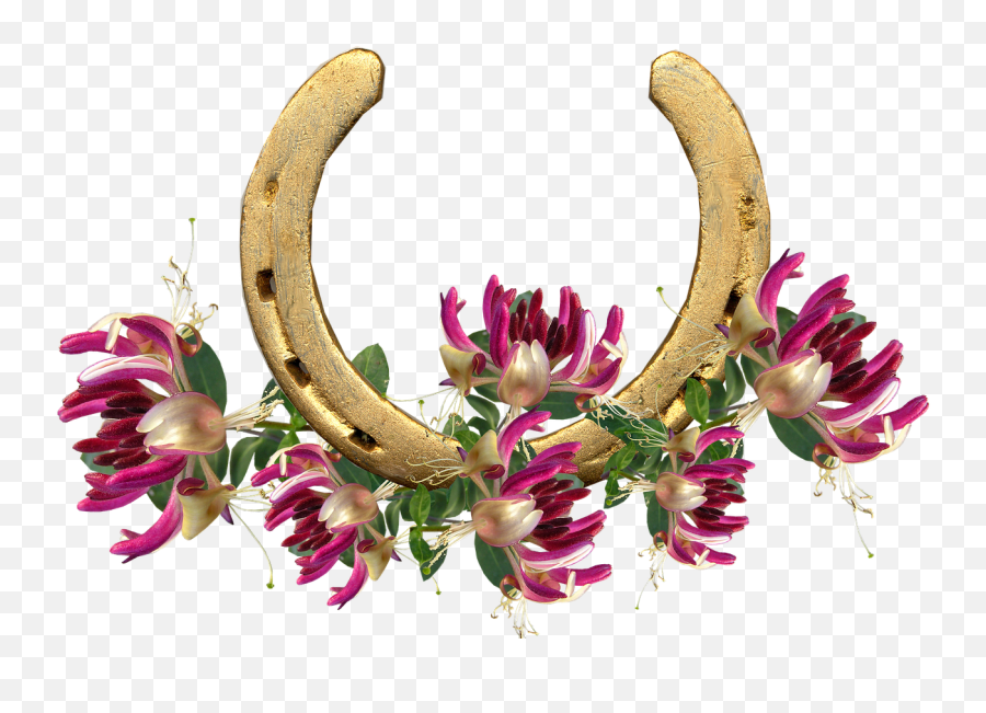 Horse Shoe Honeysuckle Lucky - Free Photo On Pixabay Emoji,Shoe Emoji