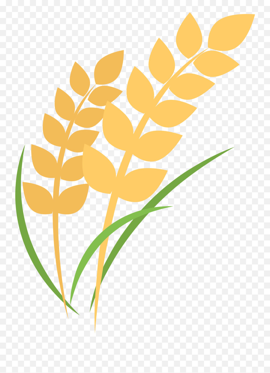 Download Rice Plant Cartoon Png Transparent Image Pngrow Emoji,Ukraine Sunflower Emoji
