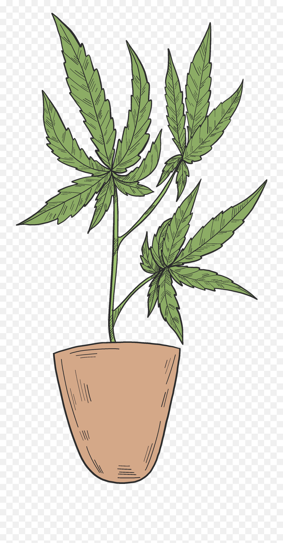 Marijuana In A Pot Clipart Free Download Transparent Png Emoji,Pot Leef Emoji