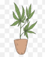 Marijuana In A Pot Clipart Free Download Transparent Png Emoji,Pot Leef Emoji