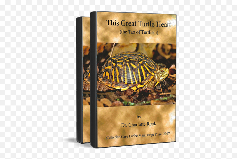 Charlotte Renk - Poet Eastern Box Turtle Emoji,Turtle Emotions