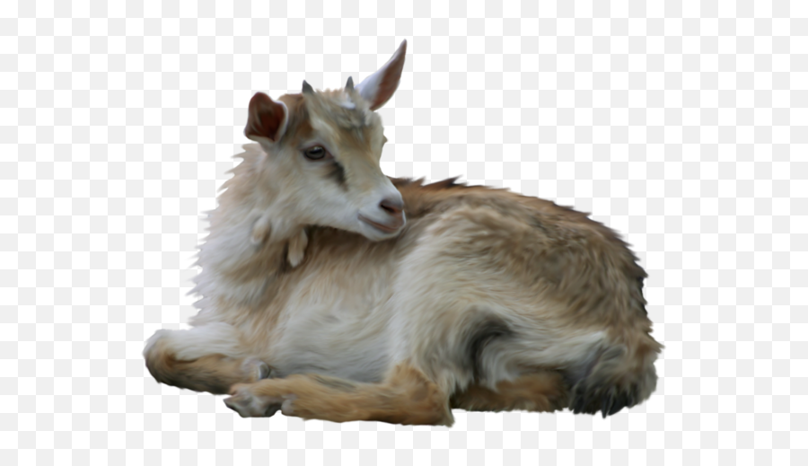 Ftesgoat Sticker By Skye - Goat Remove Background Emoji,Goat Emoji Png