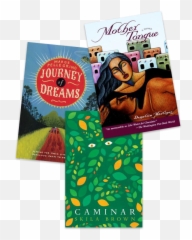 Lessons - Central America Book Cover Emoji,Emotions Of Post-reconstruction History For Middle School Students