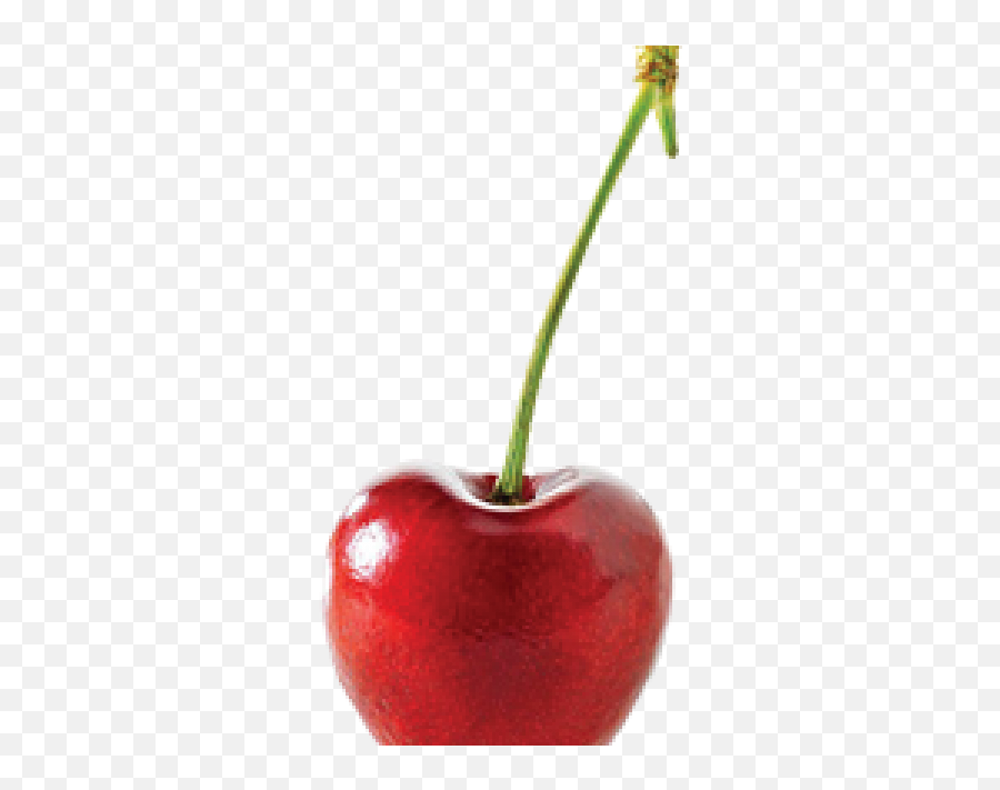 Cherry Pick It Try It Like It Preserve It - Superfood Emoji,Cherry Facebook Emoticon