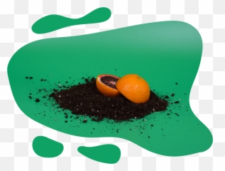 Your Page Title Here - Orange Emoji,Patrick Steware Emoji Movie