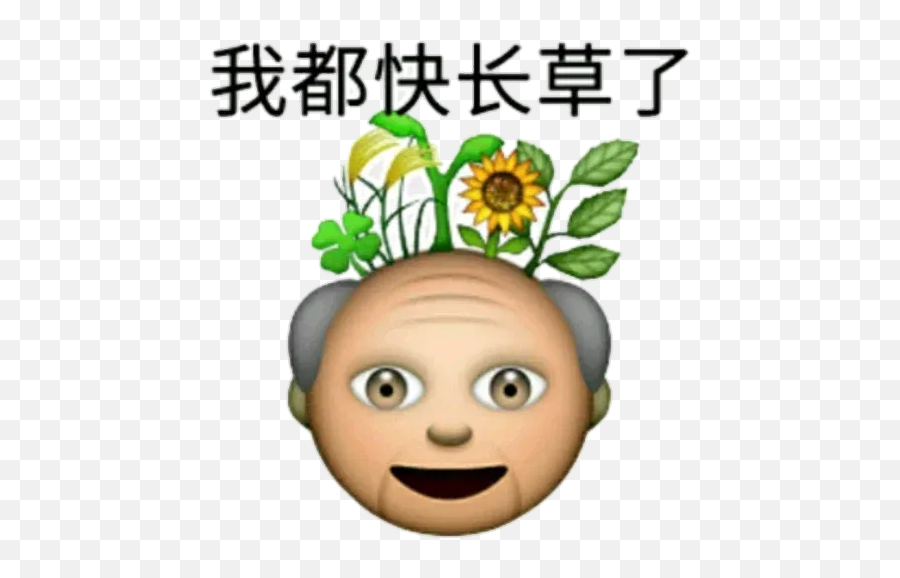 Large Emoji Whatsapp Stickers - Stickers Cloud Grand Father Emoji,Sunflower Emoji