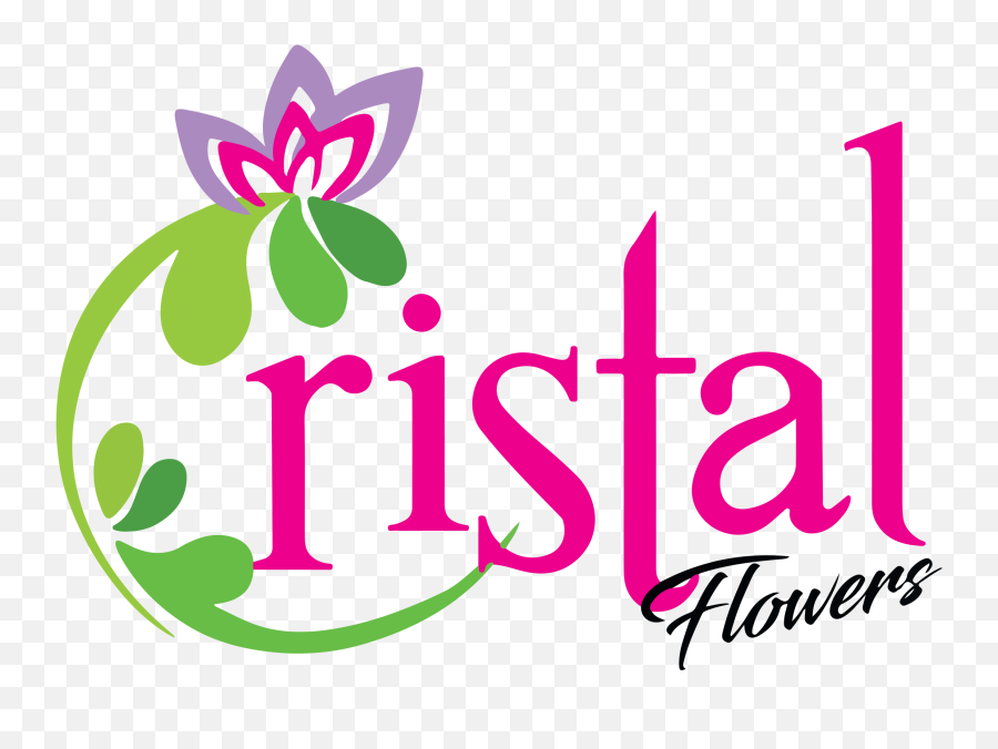 Teleflorau0027s Daffodil Dreams In Tampa Fl - Cristal Flowers Language Emoji,Daffodil Pink Emotion