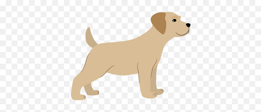 Most Popular Dog Breeds U0026 Their Origins Green Lane Farm Emoji,Send Your Friends Cute Cream Labrador Retriver Emojis