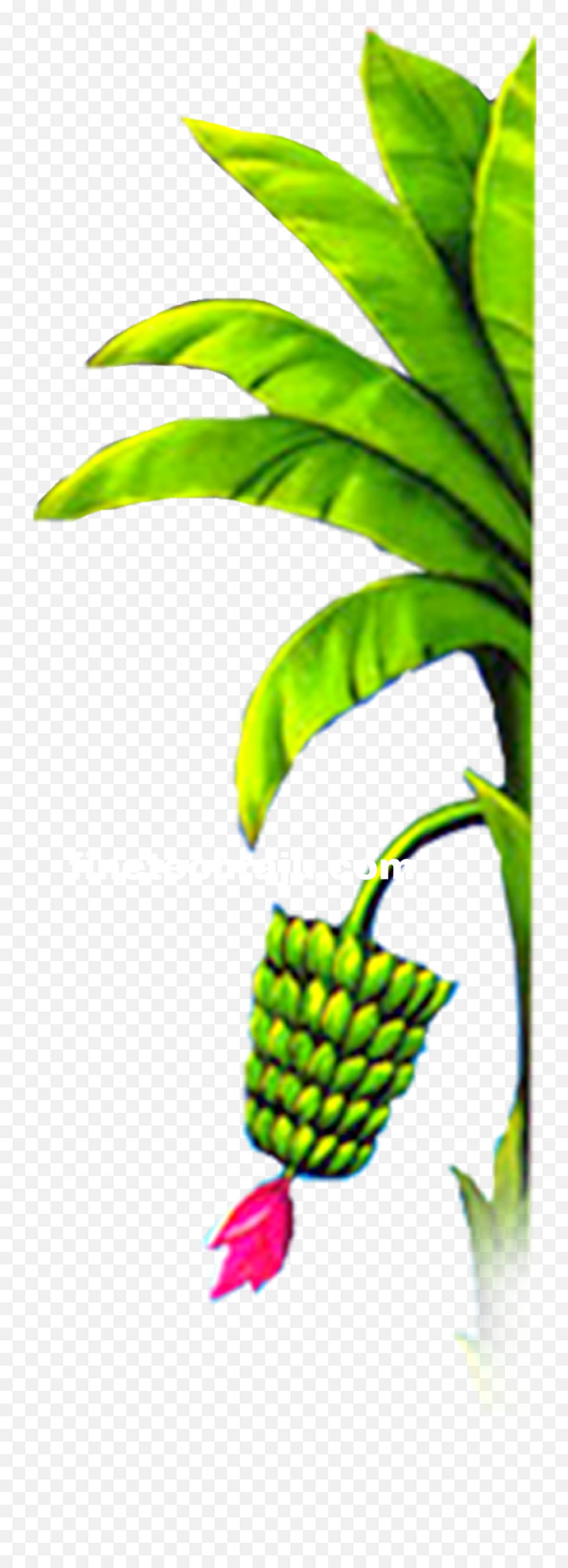 Banana Tree Png Image And Transparent Emoji,:banana Plant: Emoji