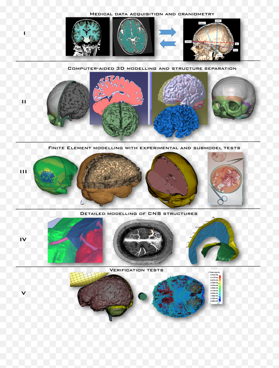 Applied Sciences Free Full - Text Injury Biomechanics Of A Dot Emoji,Biaxial Theory Of Emotions