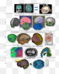 Applied Sciences Free Full - Text Injury Biomechanics Of A Dot Emoji,Biaxial Theory Of Emotions