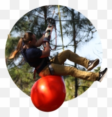 Home - Treetop Trek Emoji,Song Bout Emojis I Run Louisiana