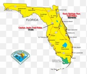 Florida Horseback Trail Riding Emoji,6 Months To 10months Activities About Feelings And Emotions