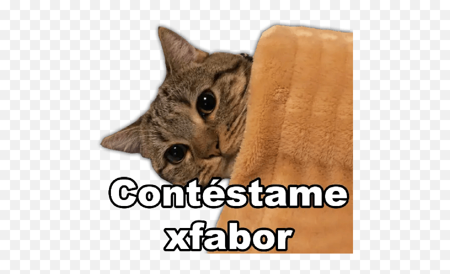 Memes En Secuencia 2 Ru0026a Emoji,Does Tabby Chat Add Emojis