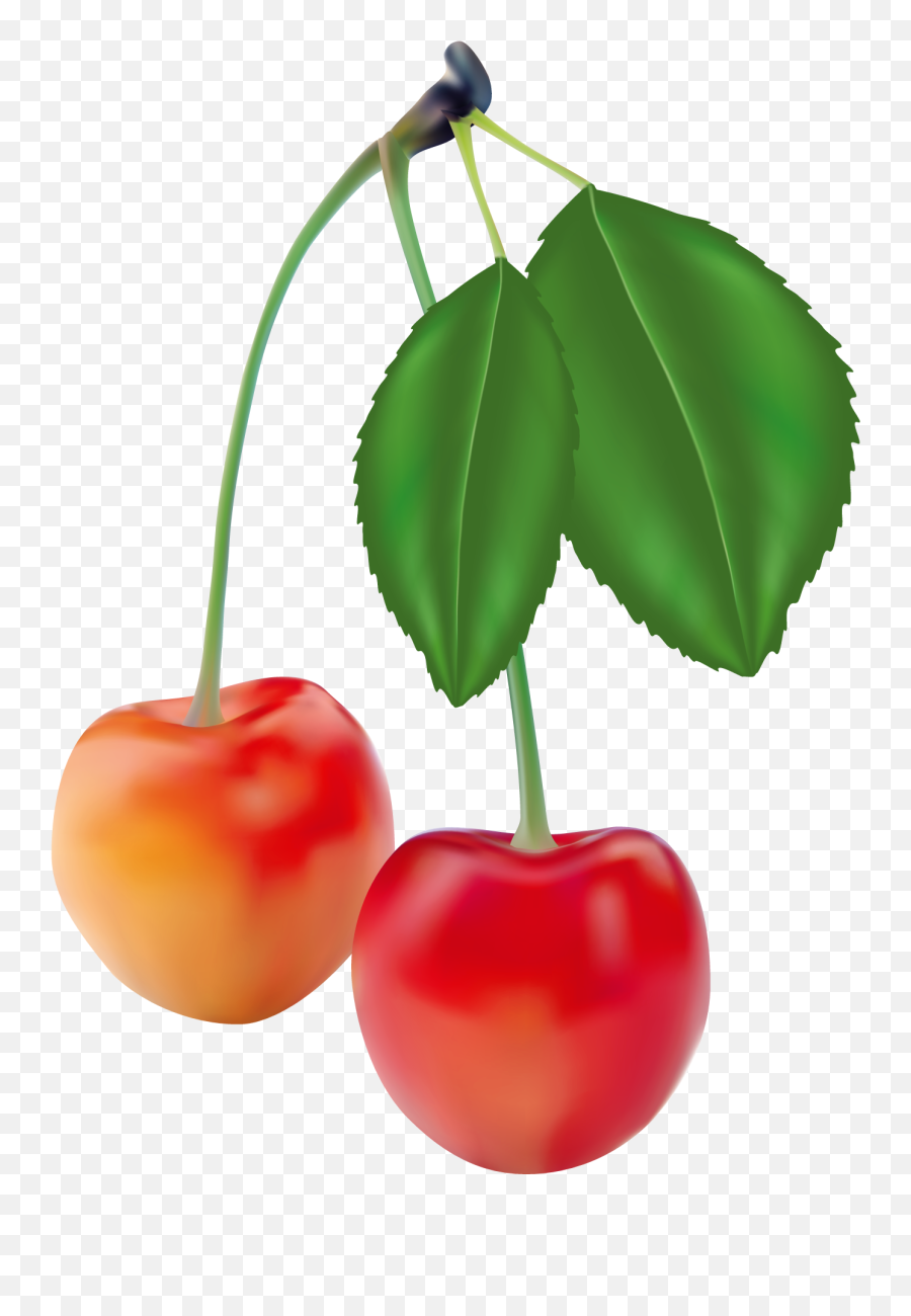 Fruit Vector Clip Art - Menggambar Realisme Buah Yang Mudah Emoji,Cherry Emoticon