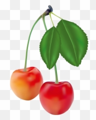 Fruit Vector Clip Art - Menggambar Realisme Buah Yang Mudah Emoji,Cherry Emoticon