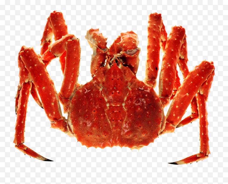 Crab Png - Red King Crab Png Emoji,Hermit Crab Emoji