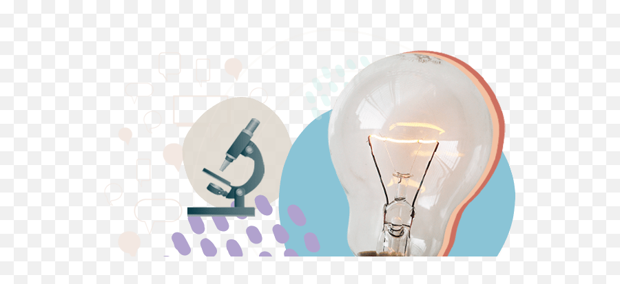 All About The Entp Personality Type - Incandescent Light Bulb Emoji,Entp Emotions