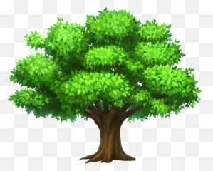 Family Tree Wallpapers - Tree Clipart Emoji,Emoji Family Tree
