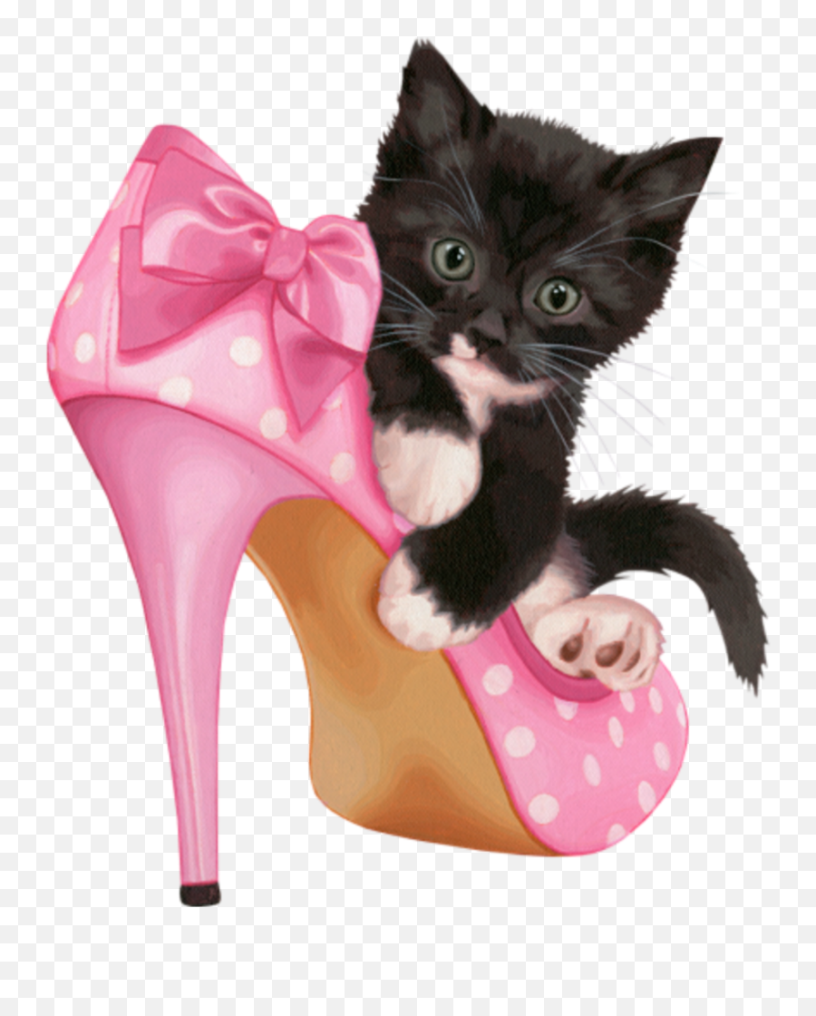 Mq Pink Shoe Shoes Highheel Cat Sticker By Marras Emoji,High Heel Shoe Emoji