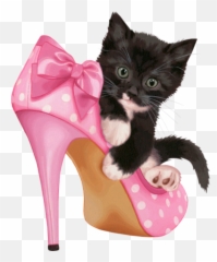 Mq Pink Shoe Shoes Highheel Cat Sticker By Marras Emoji,High Heel Shoe Emoji