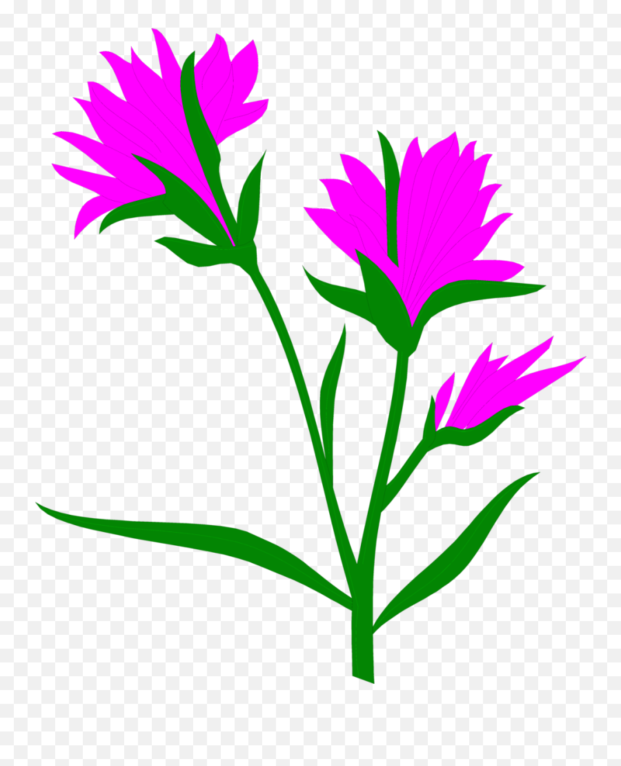 Indian - Cross Pollination And Self Pollination Difference Paintbrush Transparent Clipart Background Emoji,Indian Food Emoji
