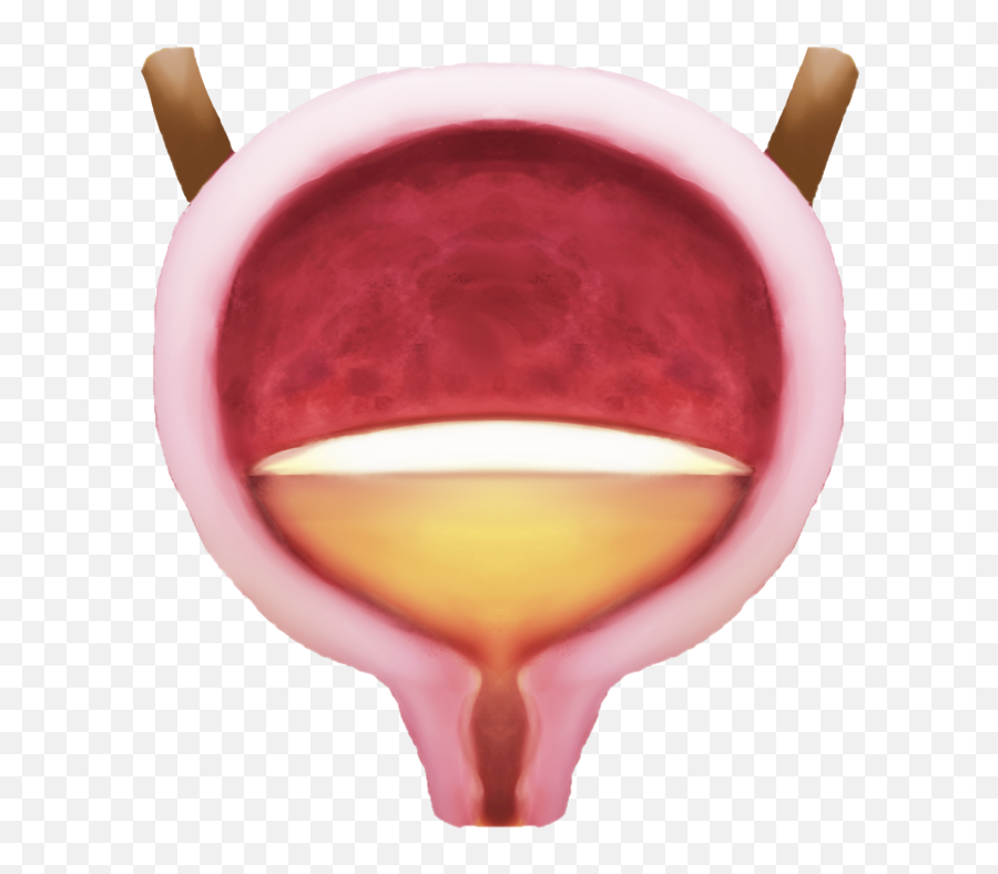 Proposal For Body - Blood Emoji,Kidney Emoji