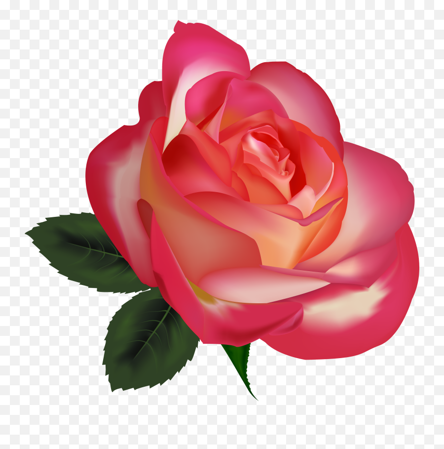 Flower Emoji Png - Beautiful Rose Png Clipart Image Clipart Beautiful Rose Photo Download,Pink Flower Emoji
