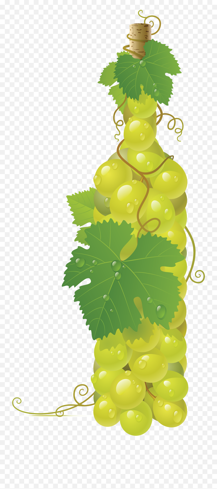 17 Best Green Grapes Ideas Green Grapes Grapes Green - Wine Bottle With Grapes Green Emoji,Facebook Emoticons Grapes