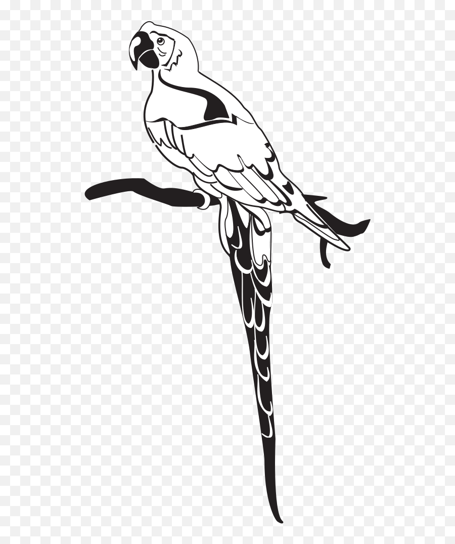 Parrot On Branch Png Svg Clip Art For Web - Download Clip Clip Art Emoji,Parrot Emoji