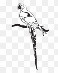 Parrot On Branch Png Svg Clip Art For Web - Download Clip Clip Art Emoji,Parrot Emoji