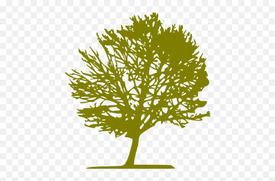 Olive Tree 11 Icon - Free Olive Tree Icons Apple Tree Quotes Emoji,Facebook Deciduous Tree Emoticon