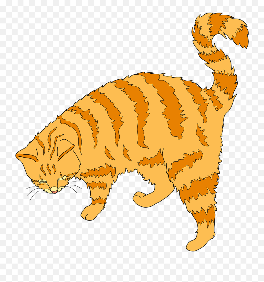 Kitten Clipart Ginger Cat Kitten Ginger Cat Transparent - Río Secreto Emoji,Orange Cat Emoji