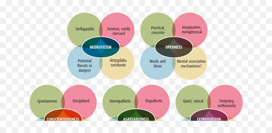 Consumer Behavior Personality Traits - Marketing 360 Emoji,The Amygdala And Emotion Michelle Gallagher