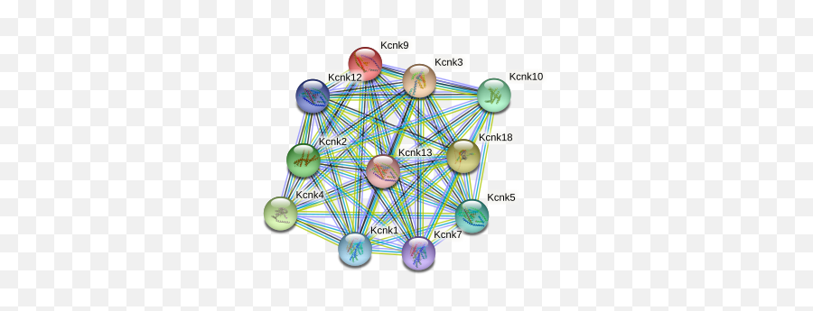 Kcnk9 Protein Mouse - String Interaction Network Emoji,Emotions And Respiratory Patterns