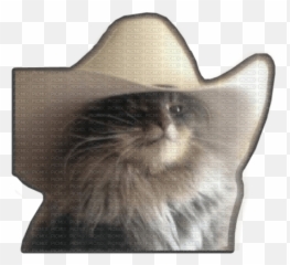 Yee Haw Cat Yee Haw Yeehaw Cowboy Cat Meme Chat Emoji,Yee Emojis Sticker