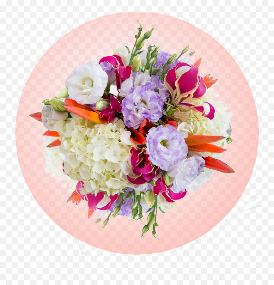 Wedding Photography U2014 Karrie Porter Emoji,Emotions Playa Dorada Resort Wedding Photography U2014 Karrie Porter Emoji,Emotions Playa Dorada Resort