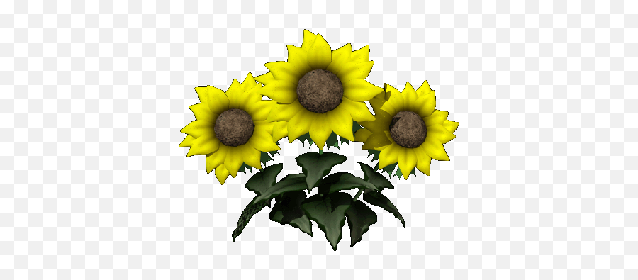 Sunflower Gifs - 95 Beautiful Gif Animations For Free Emoji,Ukraine Sunflower Emoji