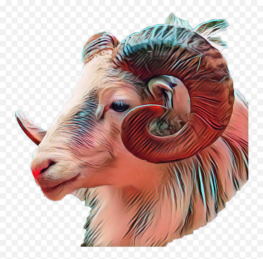 Ram Aries Ariessticker Zodiac Sticker By Rubyspero - Goats With Curly Horns Emoji,Aries Symbol Emoji