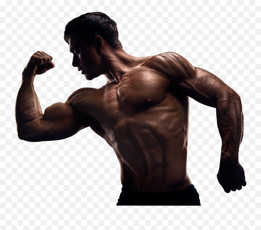 Download How To Finally Build Muscle - Muscle Mass Png Emoji,Mass Effect Emoji