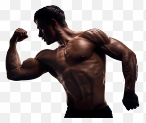 Download How To Finally Build Muscle - Muscle Mass Png Emoji,Mass Effect Emoji