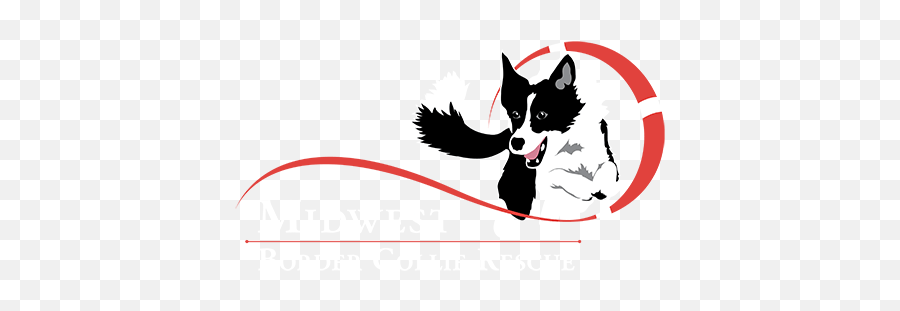 Midwest Border Collie - Border Collie Jump Logo Emoji,Husky/border Collie Emoji