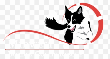 Midwest Border Collie - Border Collie Jump Logo Emoji,Husky/border Collie Emoji