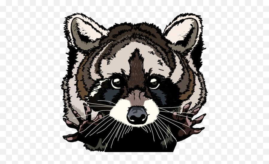 Nofiox Videos - Raccoon Emoji,Raccoon Twitch Emoticon