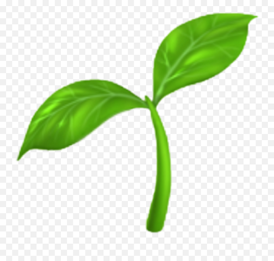 Emoji Emojisticker Sprout Sticker - Plant Emoji Png,Sprout Emoji